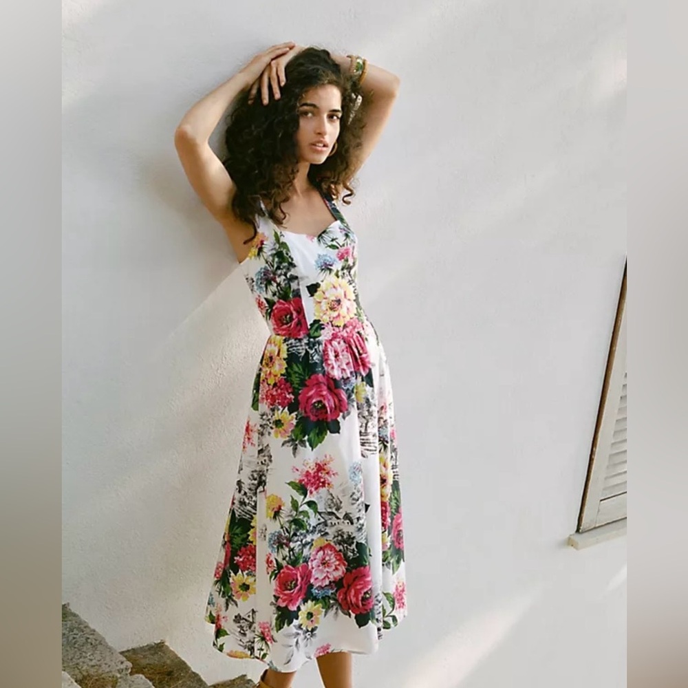 Anthropologie Amelia Fit and Flare Dress